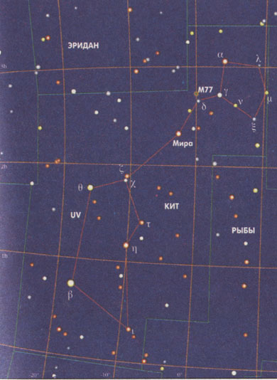 ��������� Cetus - ���